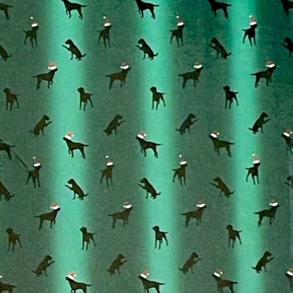 Eddie Bauer Black Lab Shower Curtain Hunter Green Multi Winter Dog 72” x 72” NWT - Picture 5 of 5